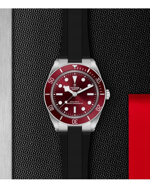 Tudor Red Bay 58 Stainless Steel Watch for men