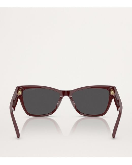 Jimmy Choo Brown Acetate Jc5024Hu Sunglasses