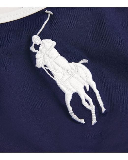 Polo Ralph Lauren Blue Polo Pony Two-Tone Bikini Top
