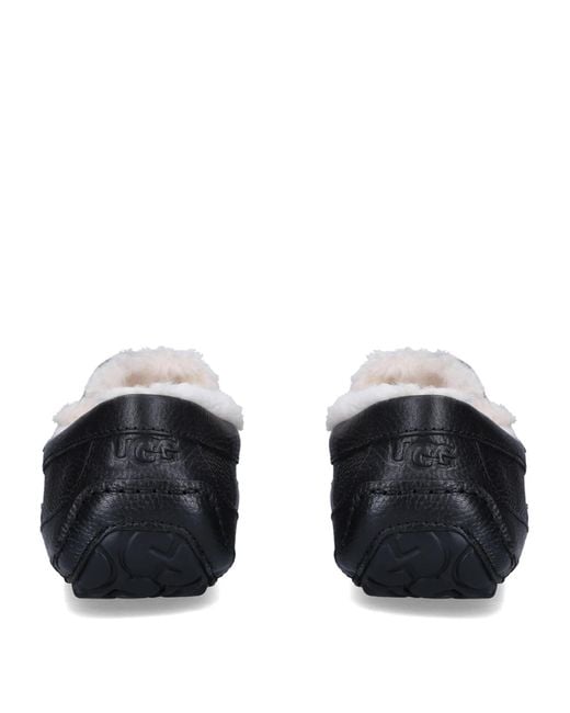 Ugg Blue Ascot Shearling-Lined Leather Slippers for men
