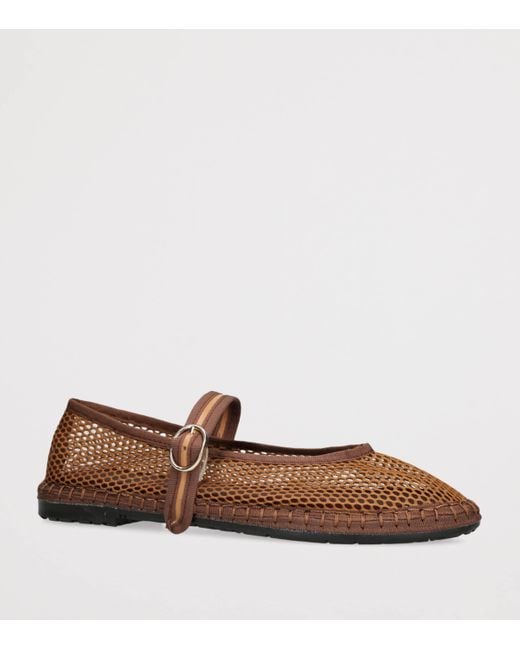 Flabelus Brown Mesh Isabella Ballet Flats