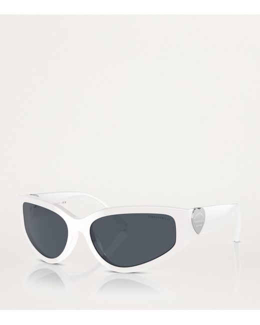 Tiffany & Co Gray Acetate Oval Sunglasses