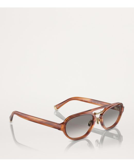 Brunello Cucinelli Brown Acetate Bc4008S Sunglasses