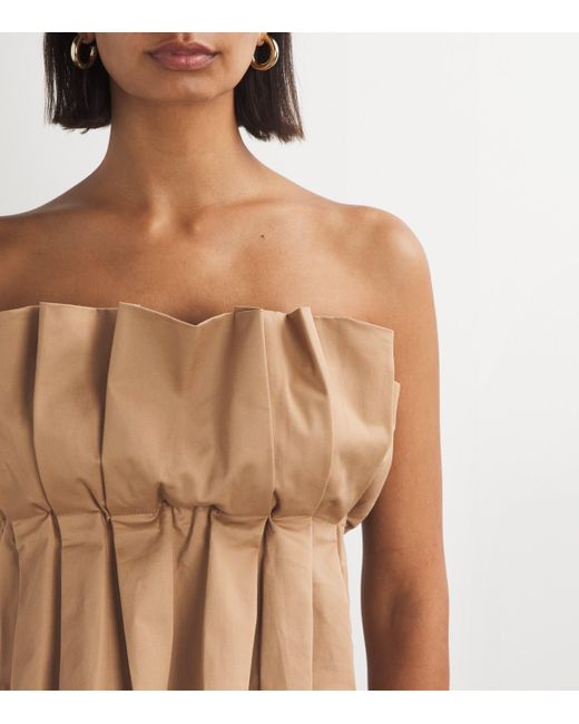 Staud Natural Strapless Dover Top