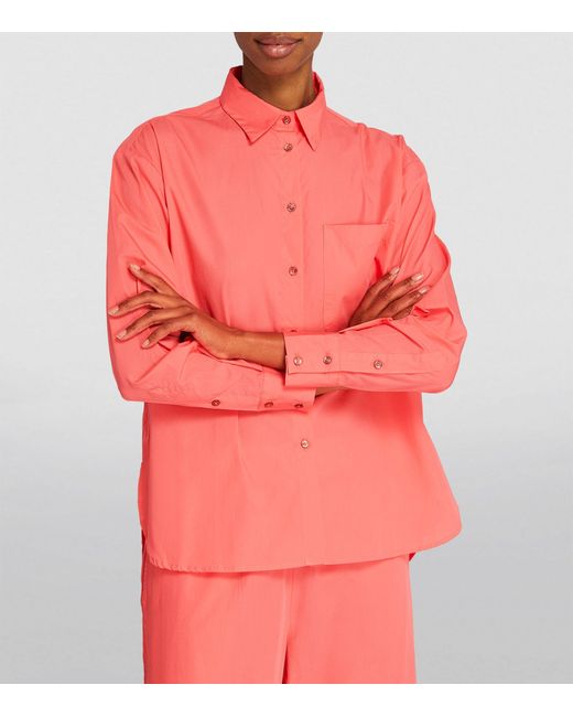 MAX&Co. Pink Cotton Shirt