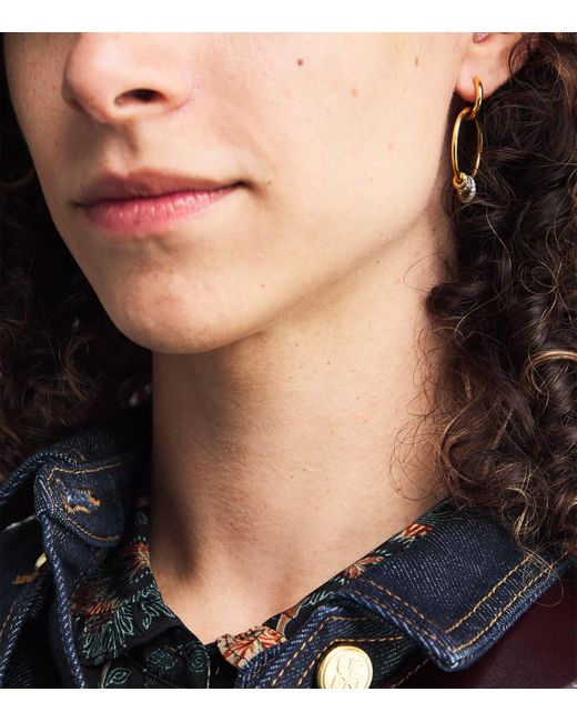 Spinelli Kilcollin Metallic And Diamond Asha Hoop Earrings