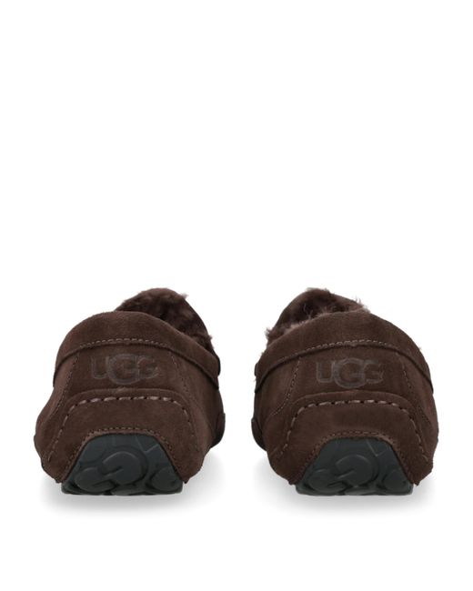 Ugg Brown Ascot Slipper for men