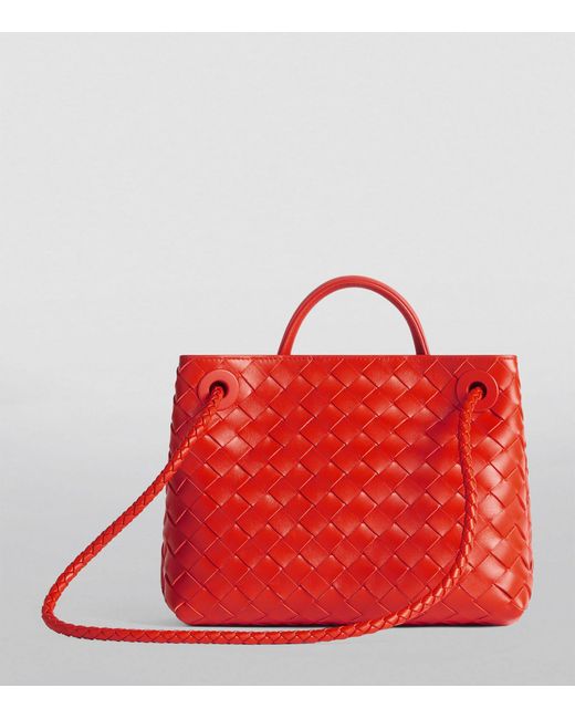 Bottega Veneta Red Small Leather Andiamo Shoulder Bag