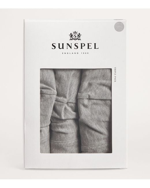 Sunspel Gray Stretch-Cotton Trunks for men