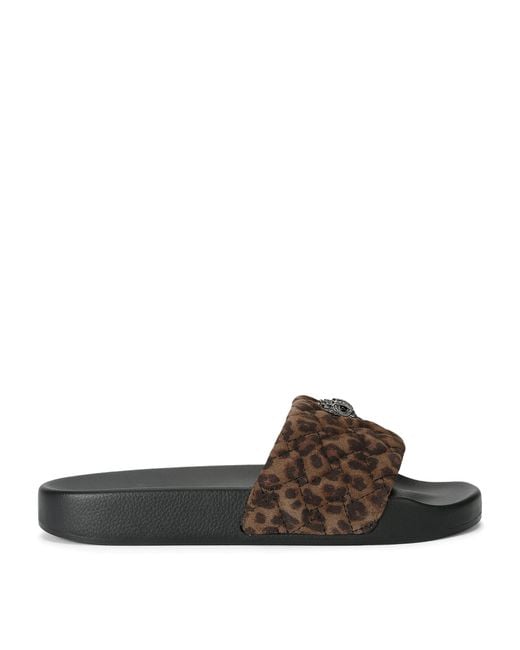 Kurt Geiger Brown Meena Eagle Slides