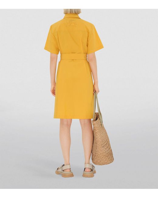 Burberry Yellow Cotton-blend Ekd Shirt Dress