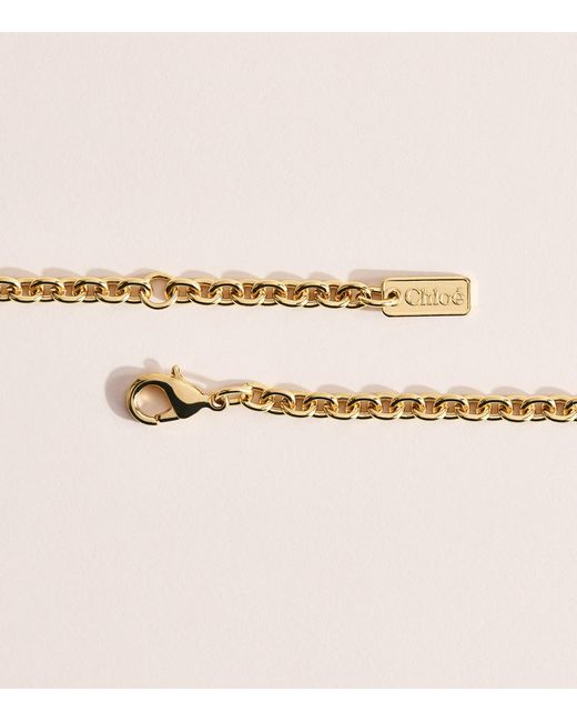 Chloé Pink Tropicus Pendant Necklace