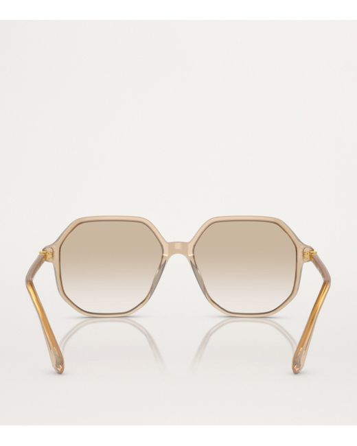 Swarovski Natural Oversized Sk6003 Sunglasses