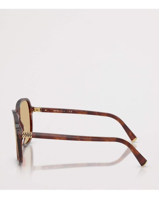 Miu Miu Brown Pillow Sunglasses