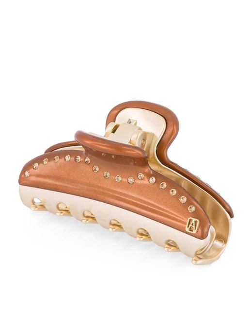 Alexandre De Paris Brown Plated Claw Hair Clip