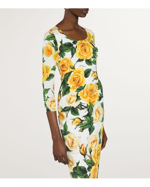 Dolce & Gabbana Metallic Rose Print Midi Dress