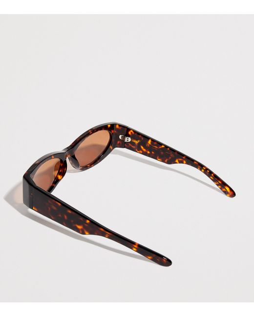 Sir Brown The Classic Sunglasses