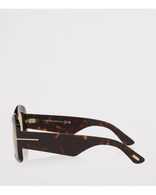 Tom Ford Brown Acetate Venetia Sunglasses