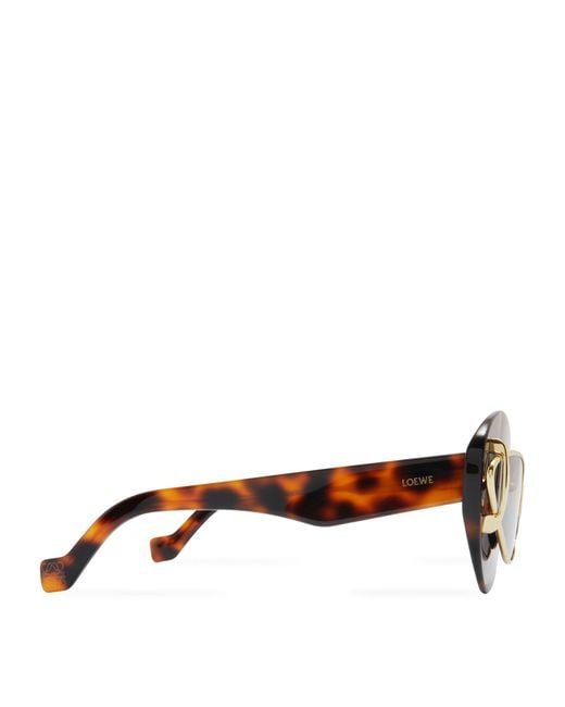 Loewe Brown Double Frame Cat Eye Sunglasses