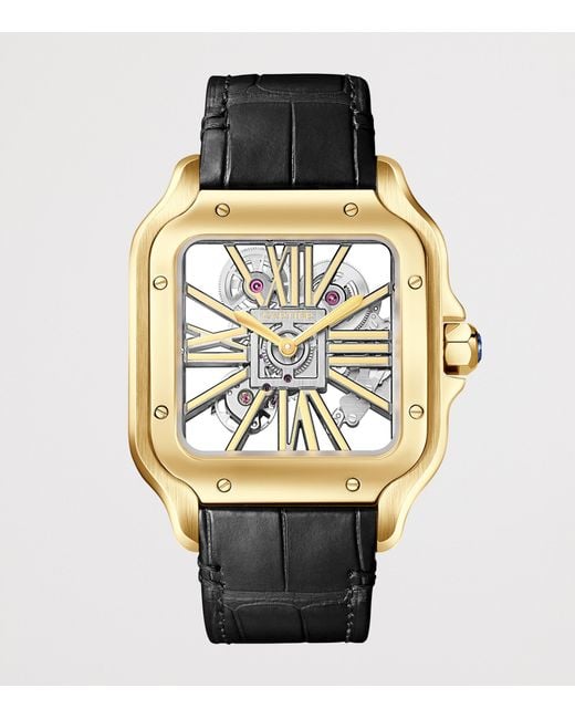 Cartier Metallic Large Santos De Skeleton Watch for men