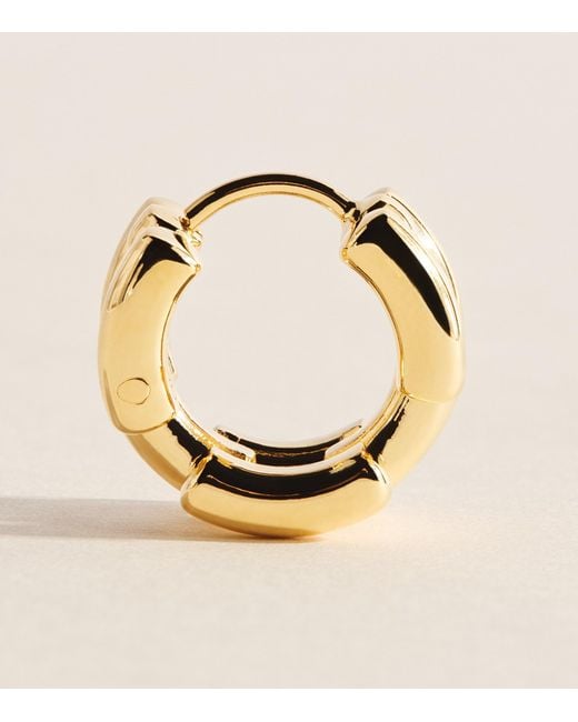 LIE STUDIO Metallic Plated The Johanna Earrings