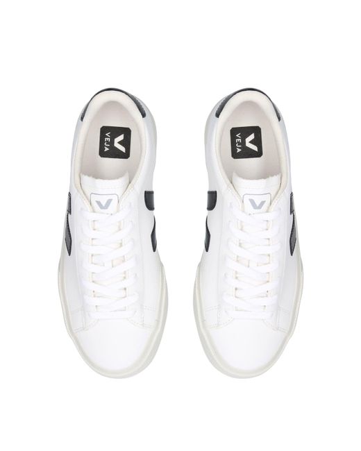Veja White Campo Sneakers