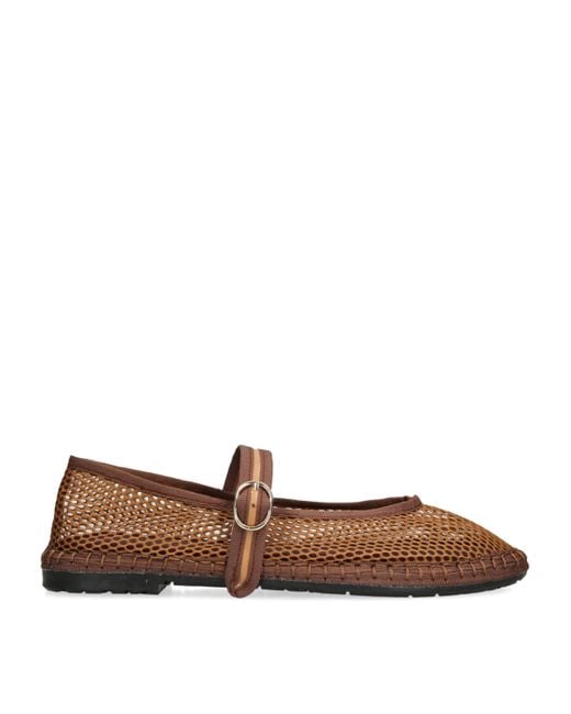 Flabelus Brown Mesh Isabella Ballet Flats