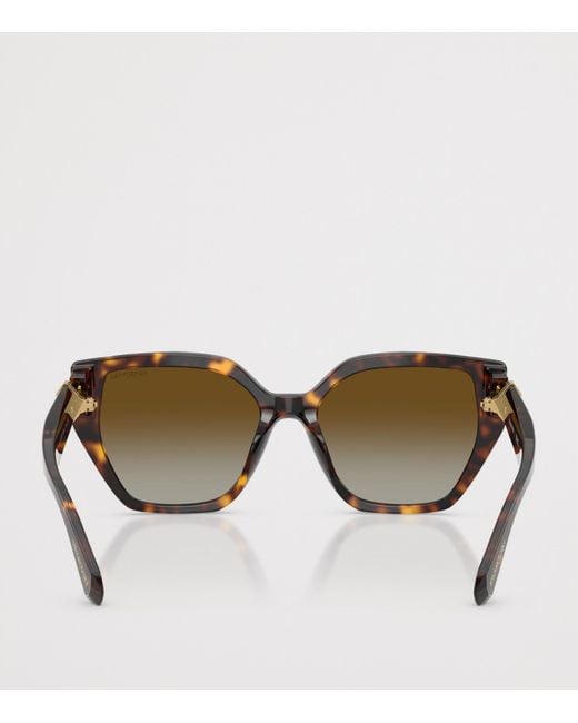 Swarovski Brown Sk6044U Irregular Sunglasses