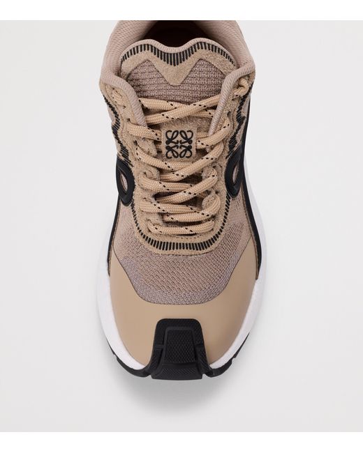 Loewe Brown Leather Pogo Sneakers for men