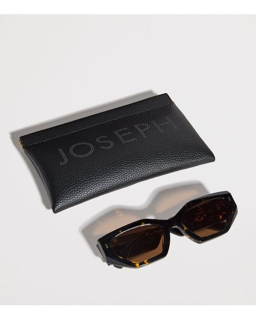 Joseph Brown Cat Eye Souk Sunglasses