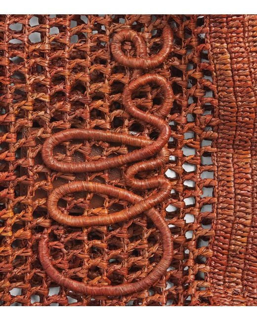 Chloé Brown Small Raffia Summer Banana East-West Tote Bag