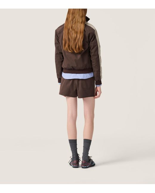 Miu Miu Brown Cotton Twill Blouson Jacket