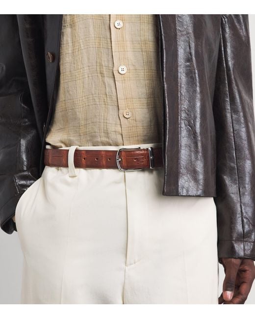 Jacob Cohen Brown Crocodile Leather Belt for men