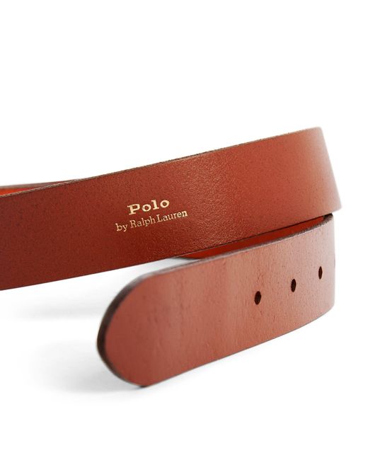 Polo Ralph Lauren Brown Leather Oval-buckle Belt