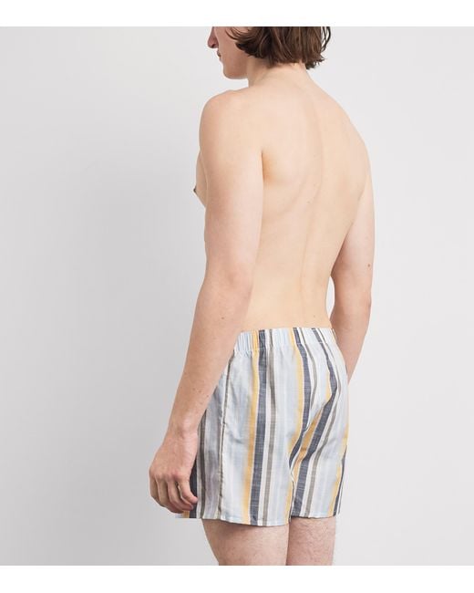 Hanro Multicolor Cotton Fancy Woven Boxers for men