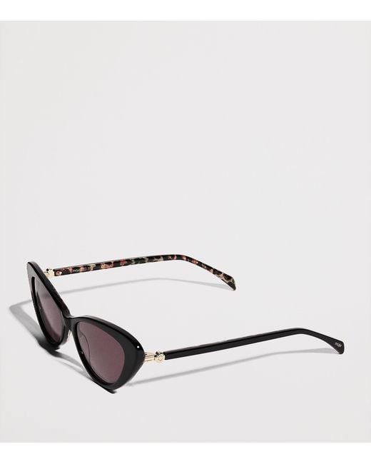 Maje Brown Acetate Cat Eye Sunglasses