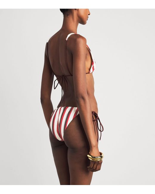 Sir Red Alva Stripe Bikini Top