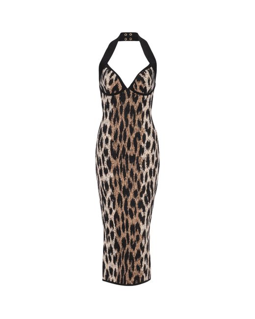 Balmain White Leopard Jacquard Midi Dress