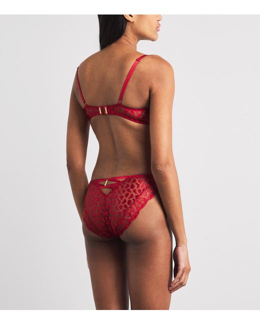 Aubade Red Crazy