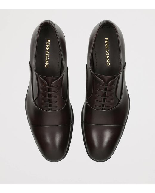 Ferragamo Brown Leather Toronto Derby Shoes for men