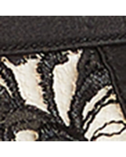 Kiki de Montparnasse Black Lace Cezanne Suspender Belt