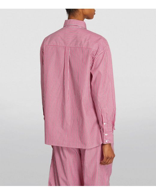 MAX&Co. Pink Cotton Striped Shirt