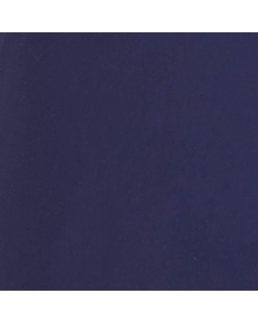 Polo Ralph Lauren Blue Monaco Swim Shorts for men