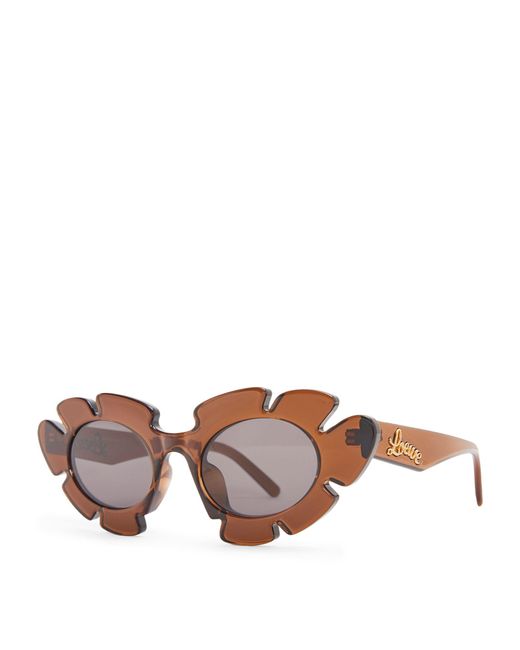 Loewe Brown X Paula's Ibiza Flower Sunglasses