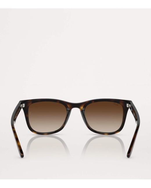 Ray-Ban Brown Injected Rb4420 Sunglasses