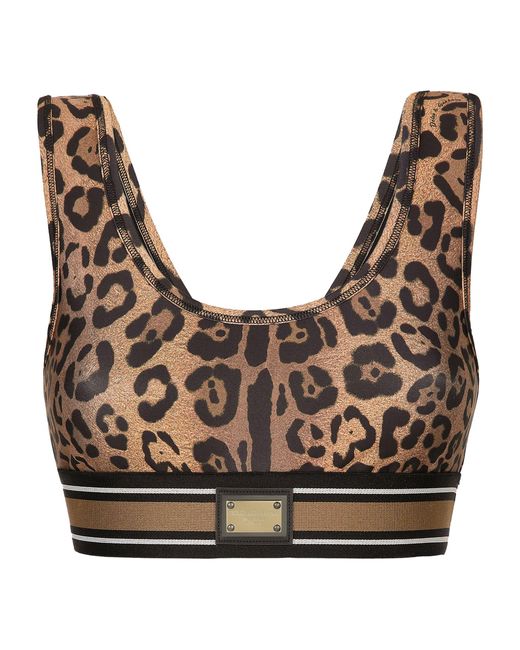 Dolce & Gabbana Brown Leopard Print Crop Top
