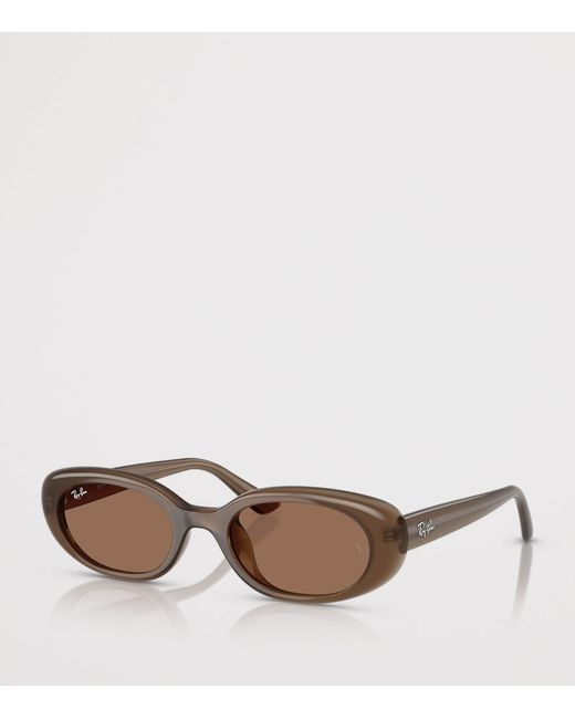 Ray-Ban Brown Injected Oval Sunglasses