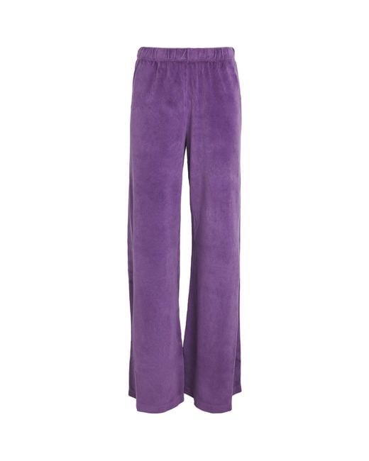 Suzie Kondi Purple Cotton-Blend Zephyra Sweatpants