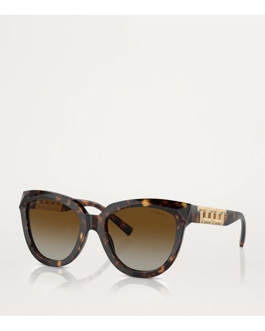 Tiffany & Co Brown Acetate Cat Eye Sunglasses