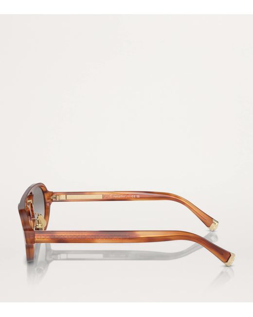 Brunello Cucinelli Brown Acetate Bc4008S Sunglasses